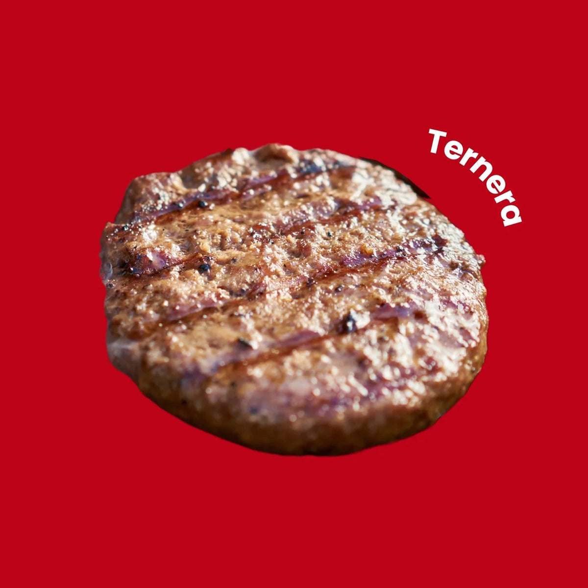 FITNESS BURGER TERNERA