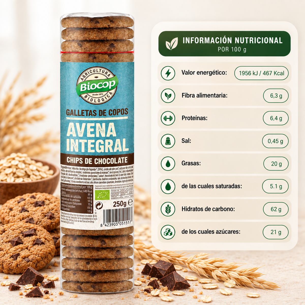 Galleta de copos de avena integral con chips de chocolate Biocop 250 g
